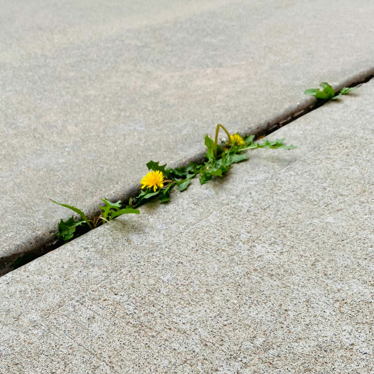 Resilienz – Deine innere Superkraft im Alltag